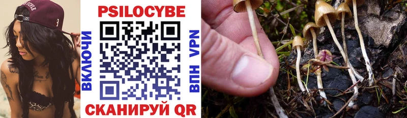 Псилоцибиновые грибы Magic Shrooms  Киреевск 